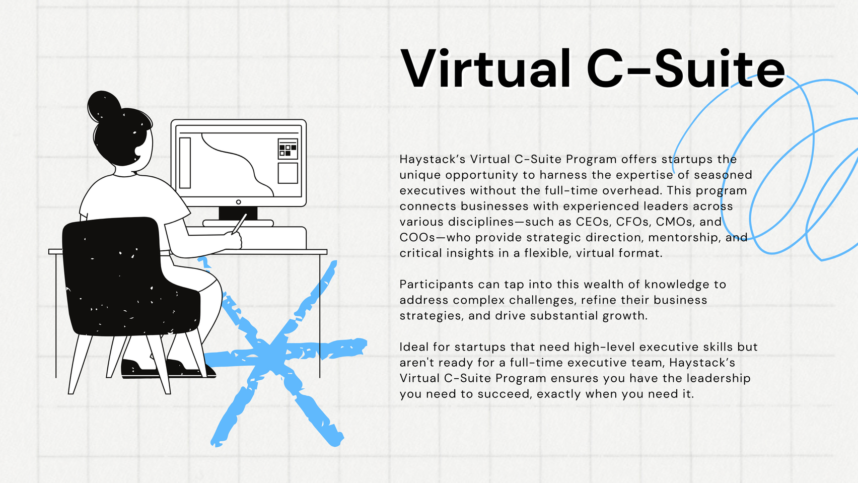 Haystack Capital Virtual C Suite  Process Program